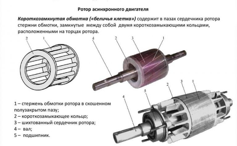 Асинхронный двигатель с короткозамкнутым ротором: конструкция, принцип ...
