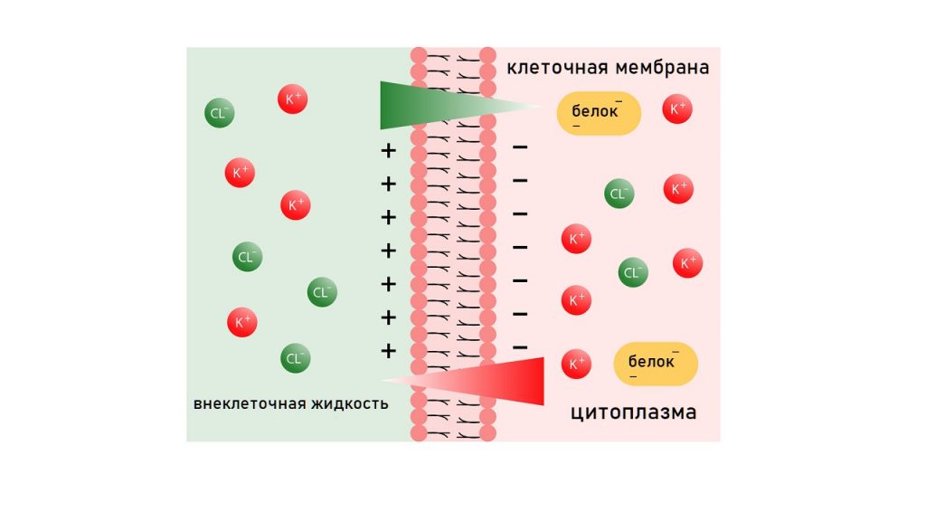 Поле в конденсаторе